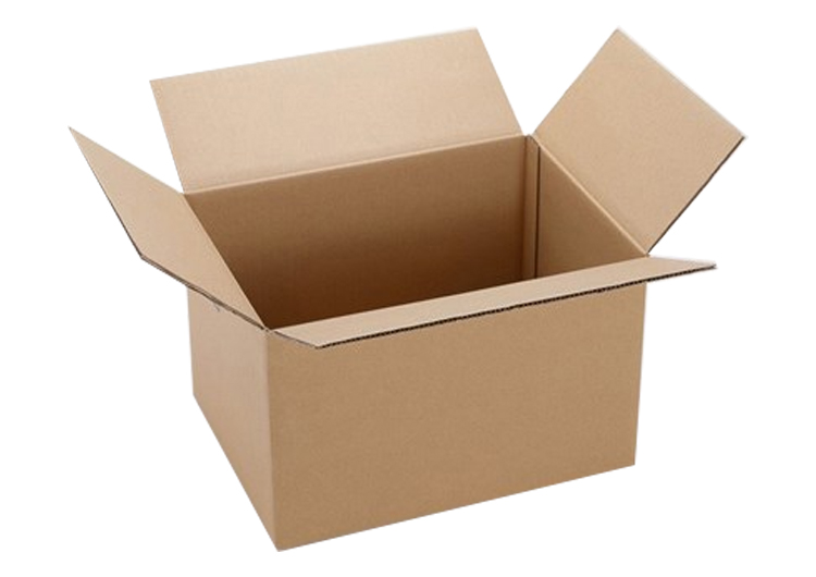Ecommerce Shipping Box