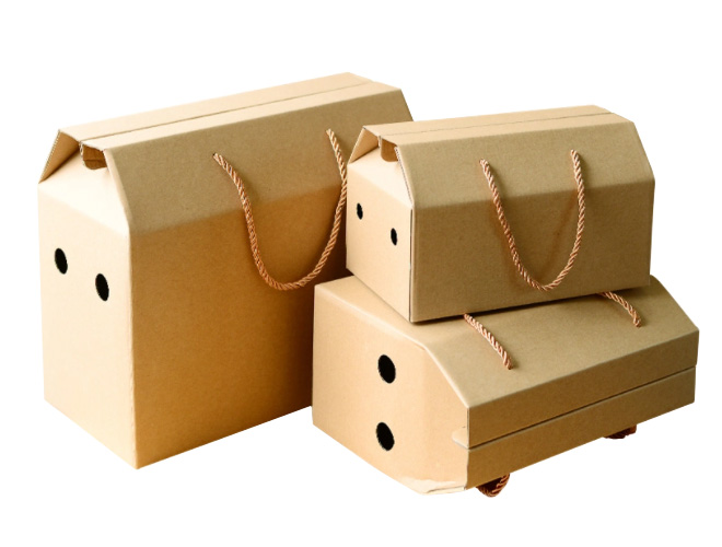 Corrugated Paper Portable Fruit Packaging Box
