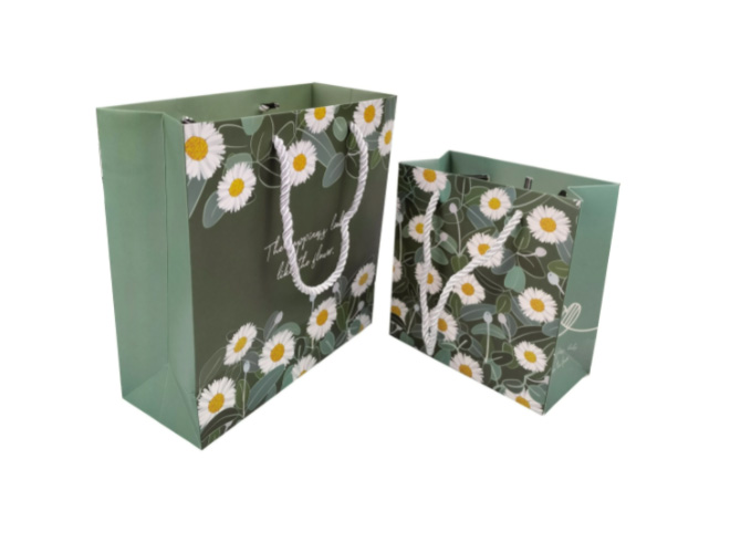 Square Cardboard Gift Bag